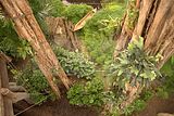 leipzig zoo-01_07_2011_gondwanaland_137